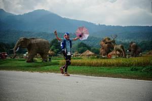 BIB: 
                            <button type="button" onclick="openModal(22435485)" class="btn btn-primary btn-sm float-right btn-popup" data-toggle="modal" data-target=".modal-high-quality">
                        <i class="fas fa-shopping-cart"></i> Add to Cart
                    </button>
                                            <button type="button" onclick="isThisMe(22435485, true)" class="btn btn-success btn-sm float-right btn-popup btn-isme hidden" data-toggle="tooltip" data-placement="bottom" title="นี่คือรูปของคุณใช่ไหม คลิกที่นี่เพื่อเอาเข้าอัลบั้ม">
                        <i class="fas fa-plus"></i> Add to album
                    </button>
                    <button type="button" onclick="isThisMe(22435485, false)" class="btn btn-warning btn-sm float-right btn-popup btn-isnotme hidden">
                        <i class="fas fa-ban"></i> Remove from album
                    </button>